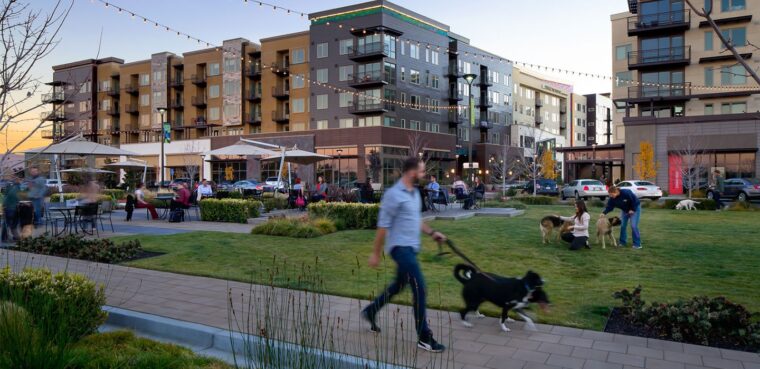 dog park at the village san antonio center