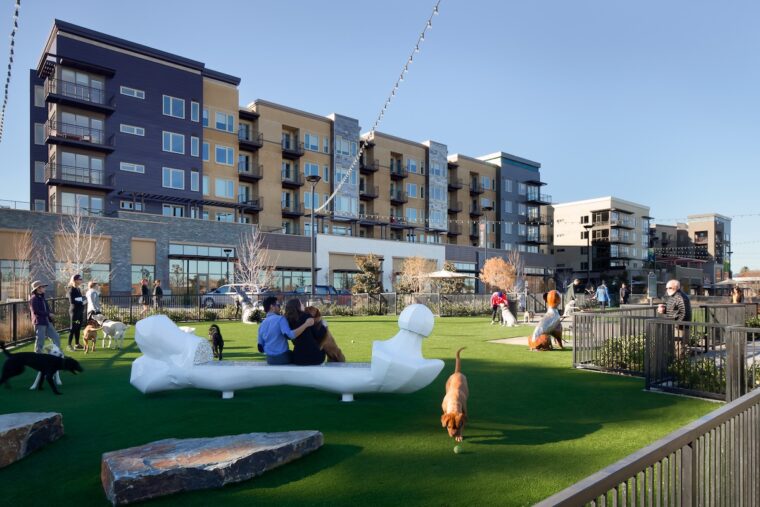 A dog park in San Antonio